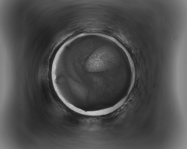 X0000086300146200704131617