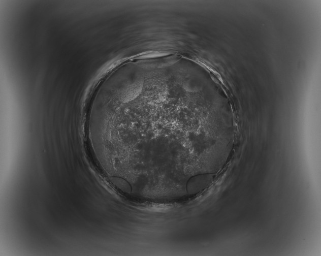 X0000086300149200704131617