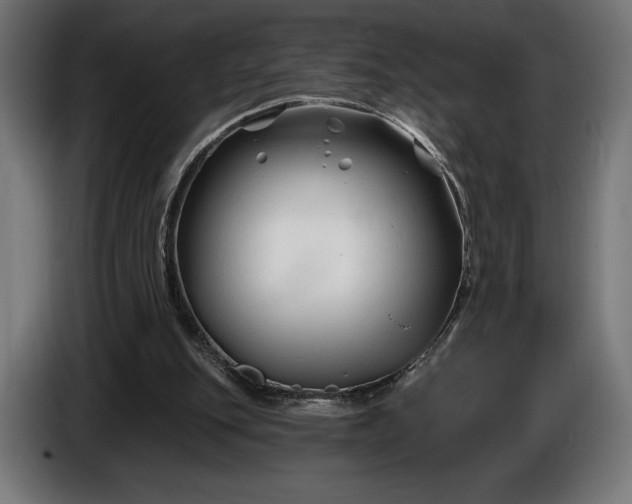 X0000086300151200704131617