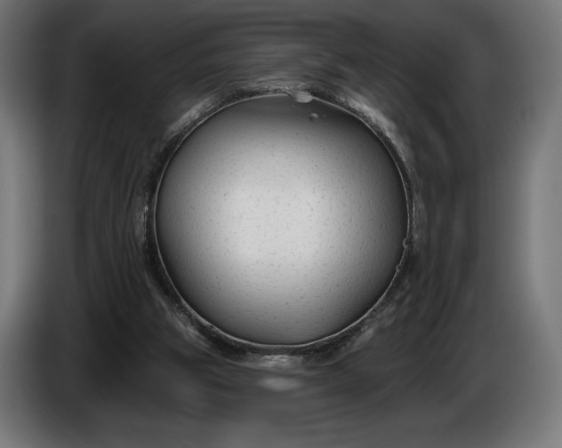 X0000086300153200704131617