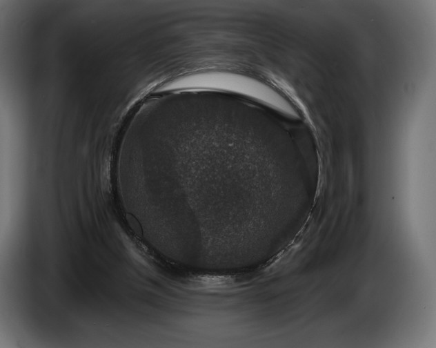 X0000086300154200704131617