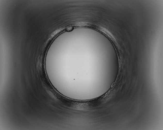 X0000086300155200704131617