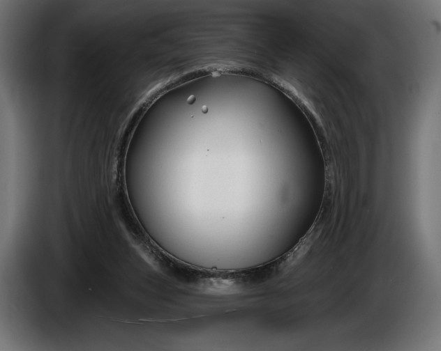 X0000086300159200704131617