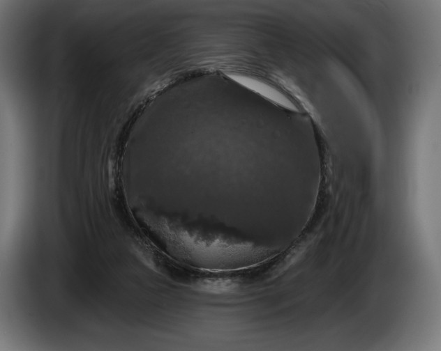 X0000086300161200704131617