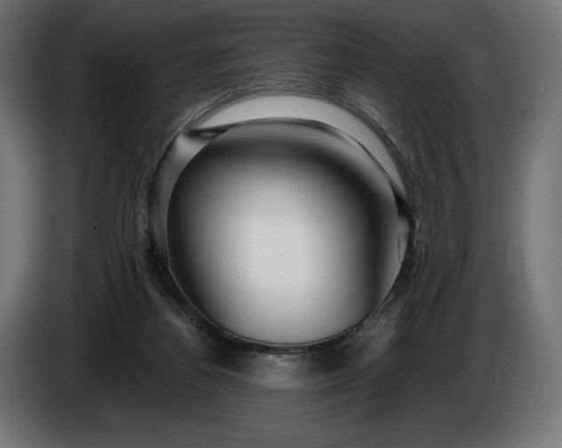 X0000086300164200704131617