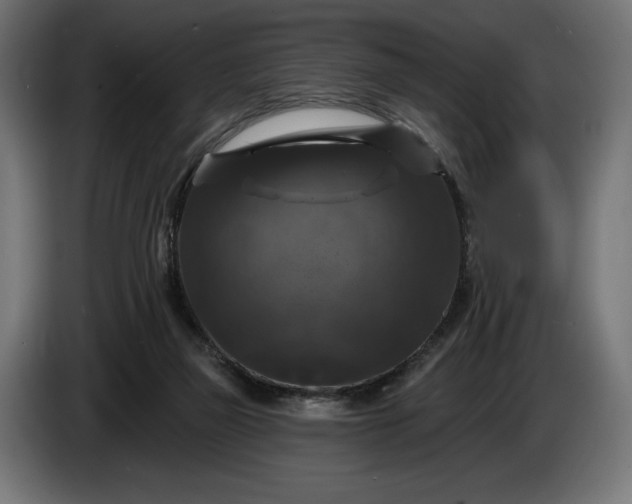 X0000086300165200704131617