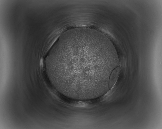 X0000086300166200704131617