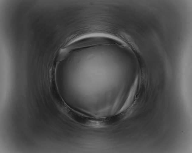 X0000086300167200704131617