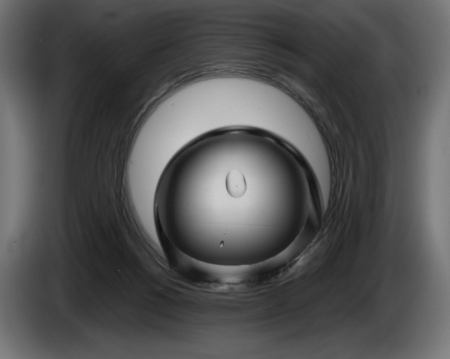 X0000086300168200704131617