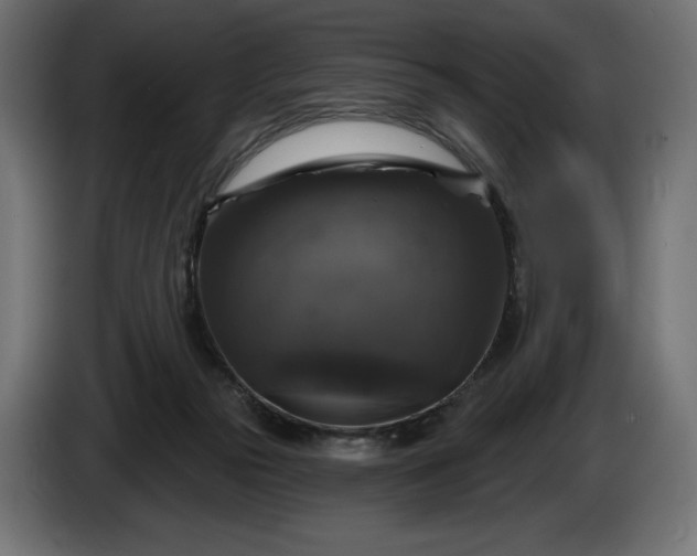 X0000086300169200704131617