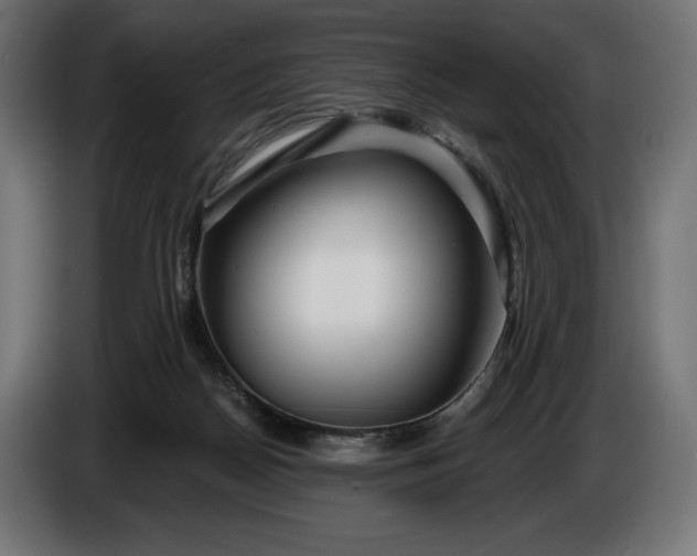 X0000086300170200704131617