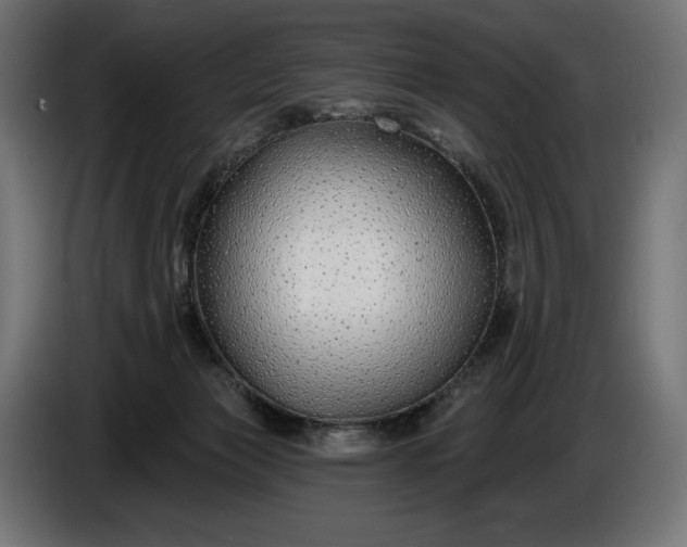 X0000086300173200704131617