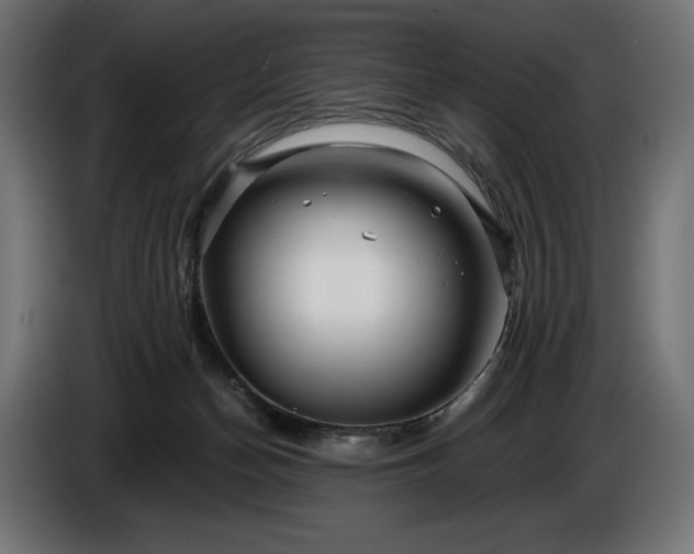 X0000086300174200704131617