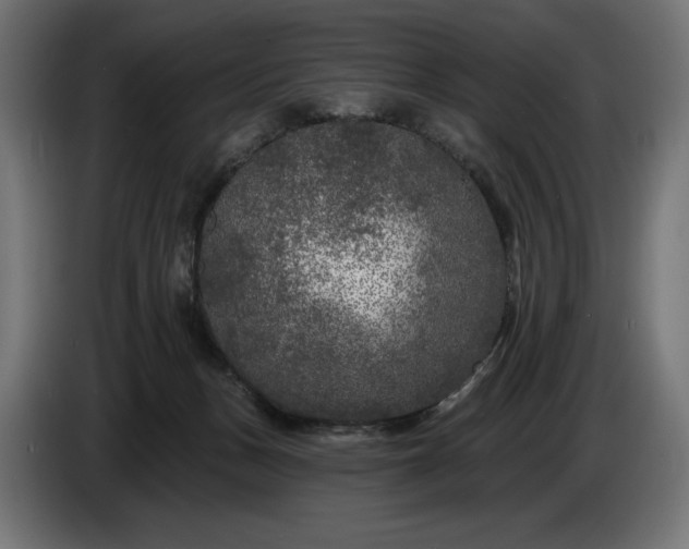 X0000086300175200704131617