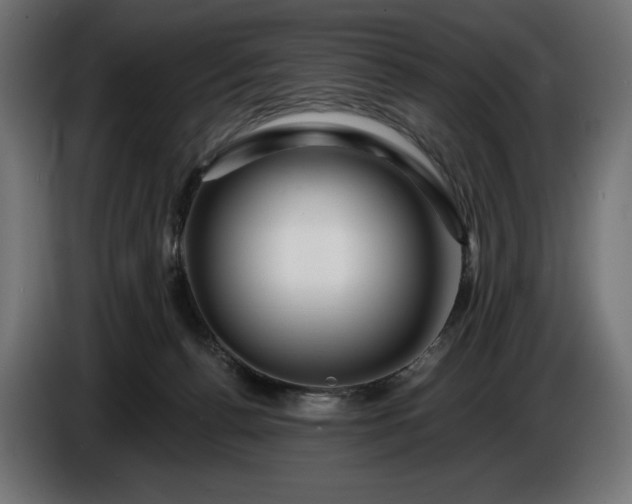 X0000086300176200704131617