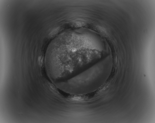 X0000086300177200704131617