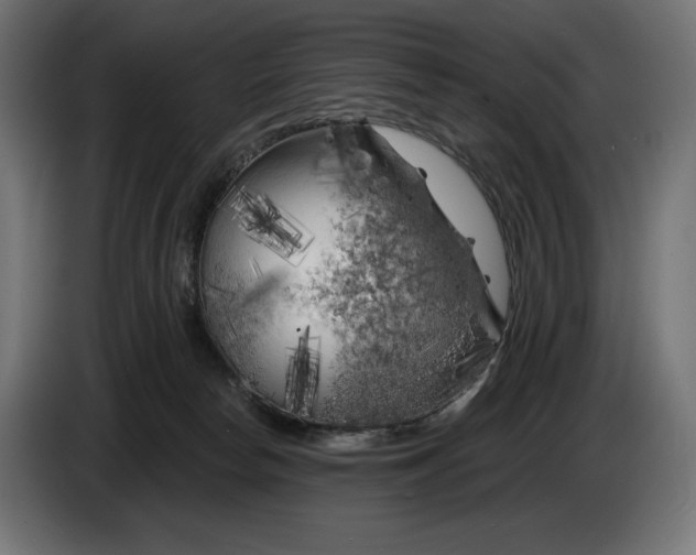 X0000086300178200704131617