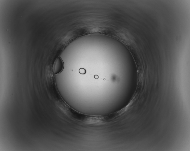 X0000086300179200704131617