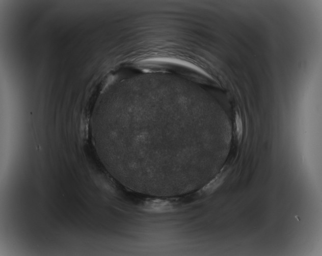 X0000086300180200704131617