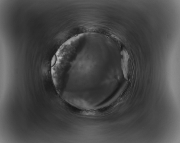 X0000086300181200704131617