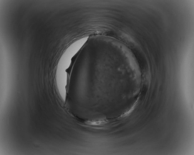 X0000086300182200704131617