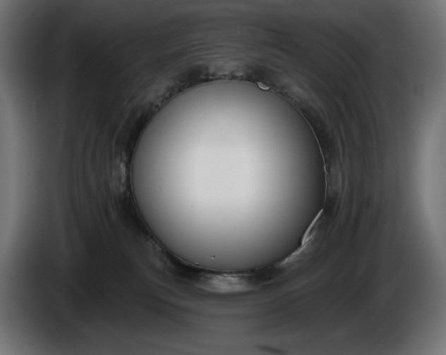 X0000086300183200704131617