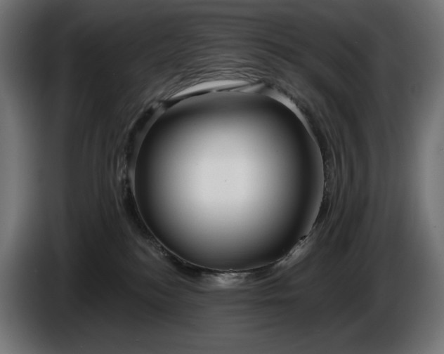 X0000086300184200704131617