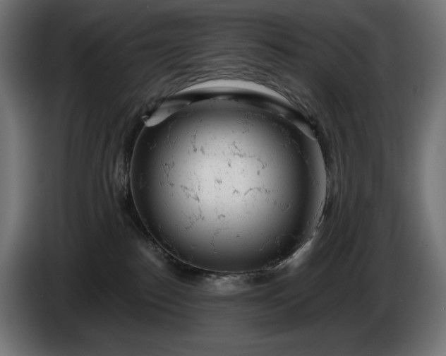 X0000086300186200704131617