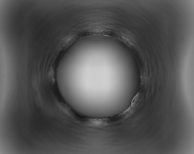 X0000086300187200704131617