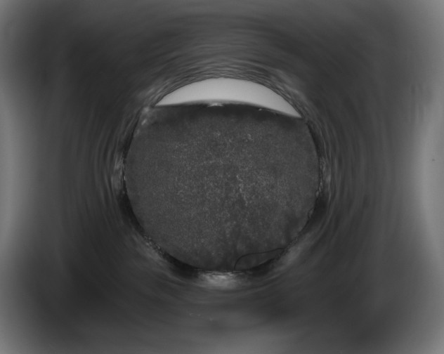 X0000086300189200704131617