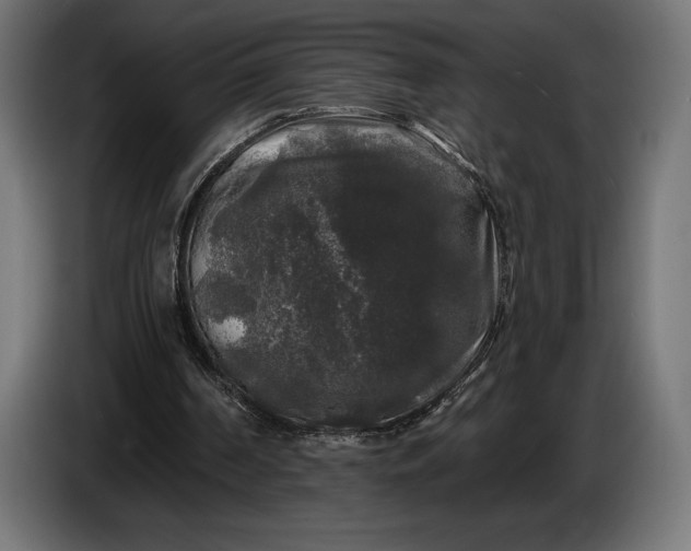 X0000086300194200704131617