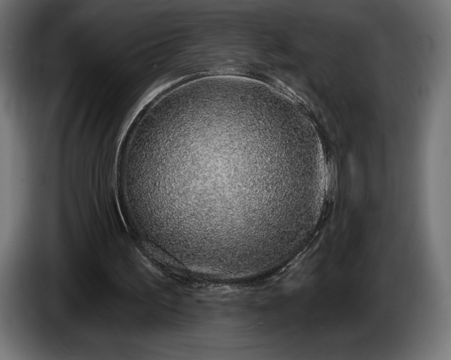 X0000086300195200704131617