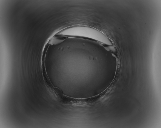 X0000086300196200704131617