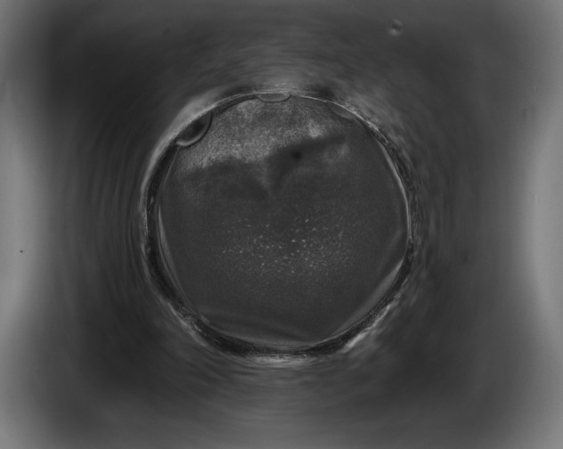 X0000086300198200704131617