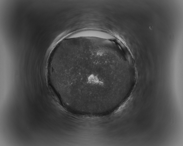 X0000086300199200704131617