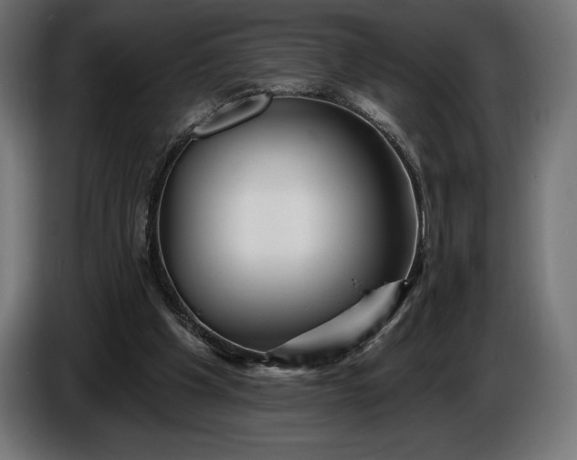 X0000086300201200704131617