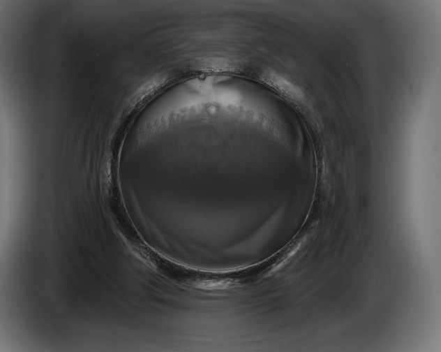 X0000086300202200704131617