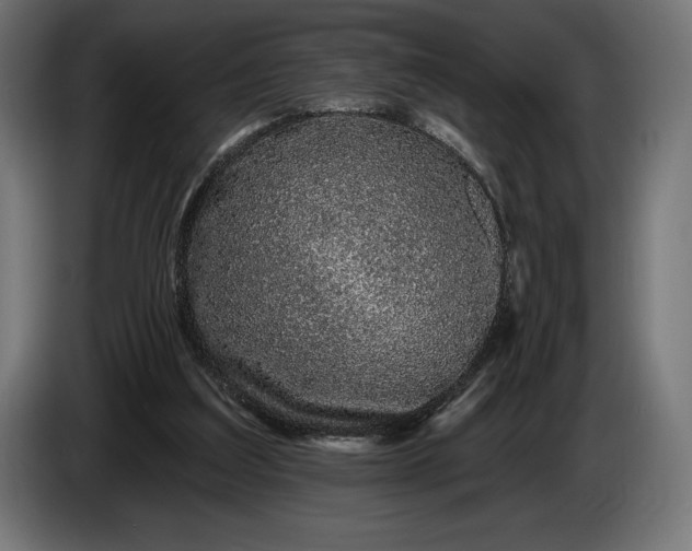 X0000086300203200704131617