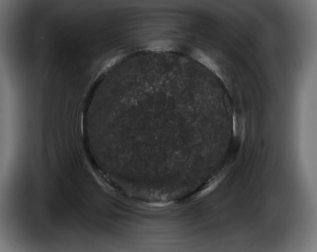 X0000086300205200704131617