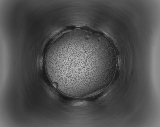 X0000086300206200704131617