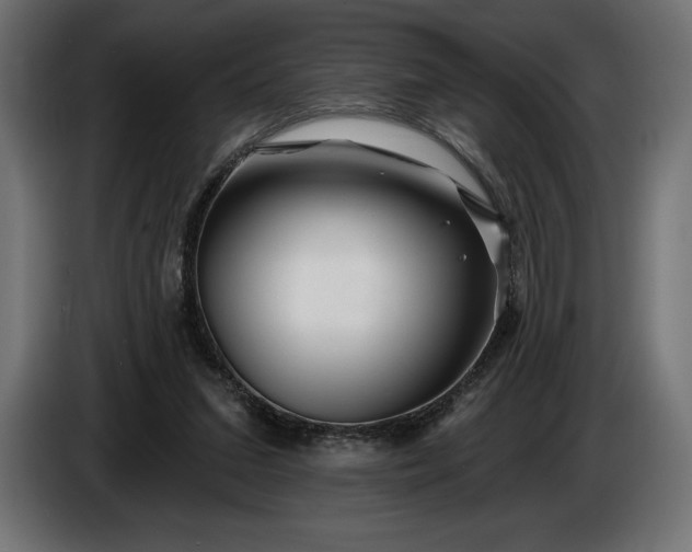 X0000086300207200704131617