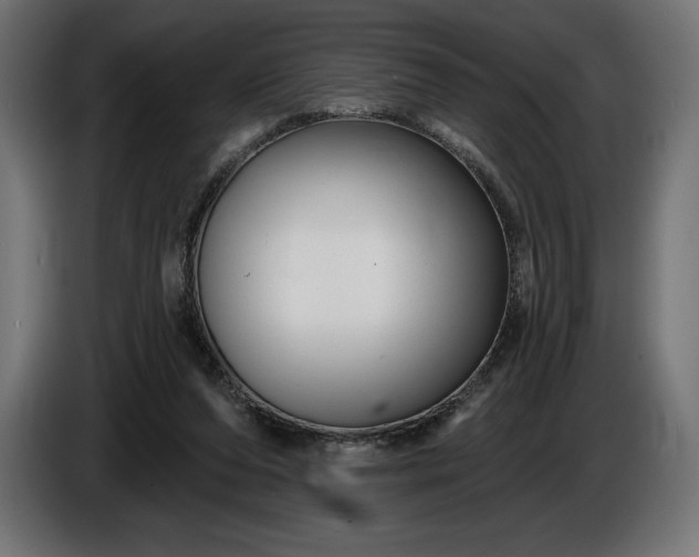 X0000086300208200704131617