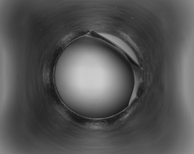 X0000086300209200704131616