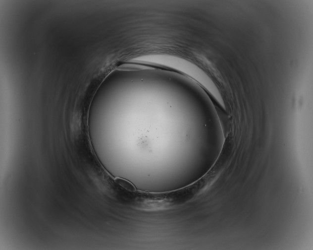 X0000086300213200704131616