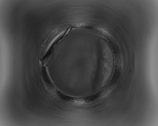 X0000086300214200704131616