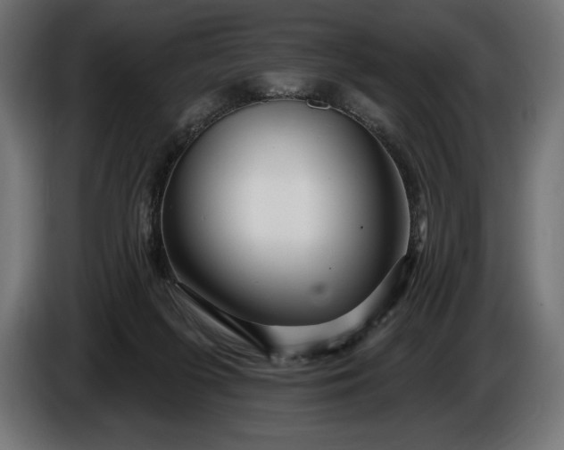 X0000086300215200704131616