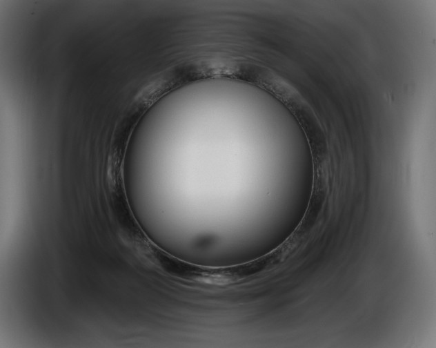 X0000086300218200704131616