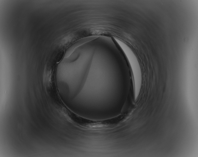 X0000086300219200704131616