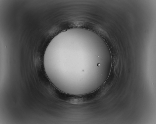 X0000086300220200704131616