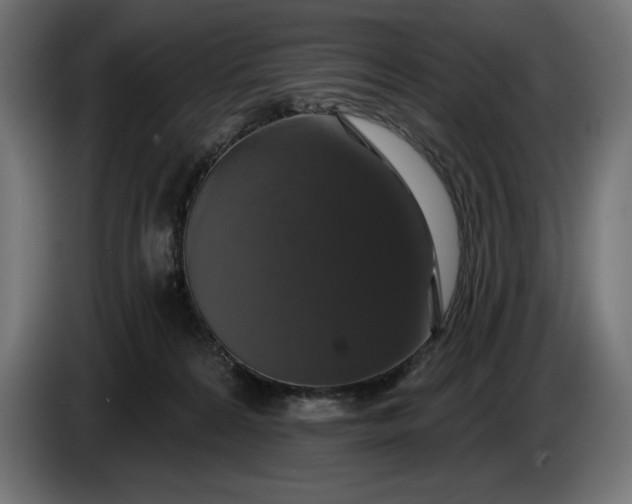 X0000086300224200704131616